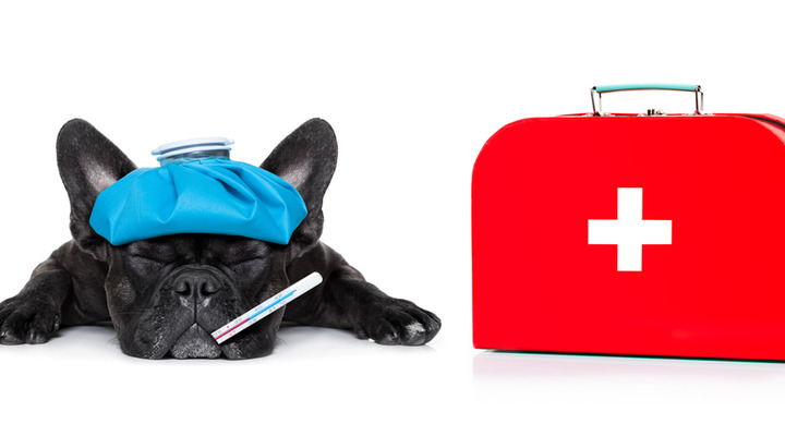 Reisekrankenversicherung